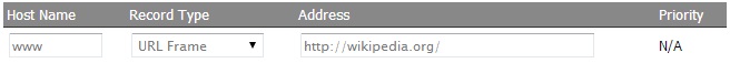 DNS management URL frame