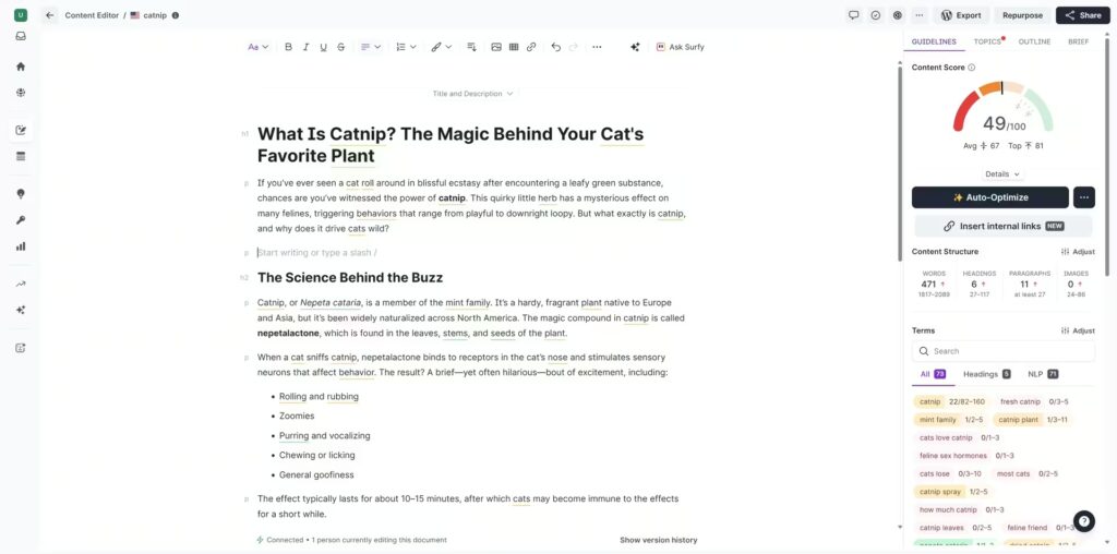 Surfer SEO AI Writing Tool Interface
