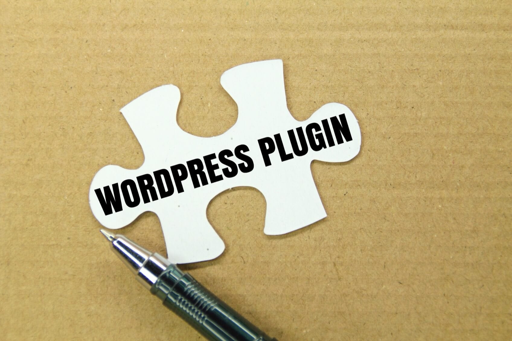 White puzzle piece labelled WordPress Plugin on a tan background.